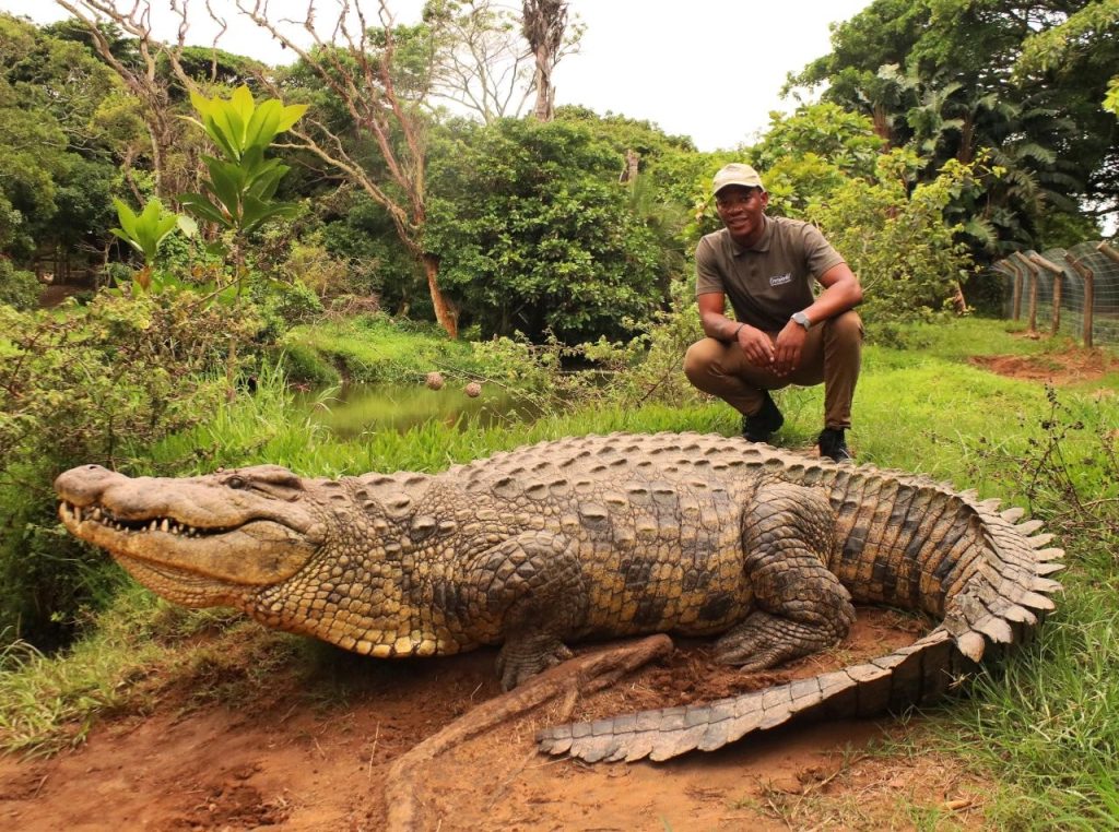 Don’t Miss the Special Celebrations at Crocworld Conservation Centre this Heritage Day!