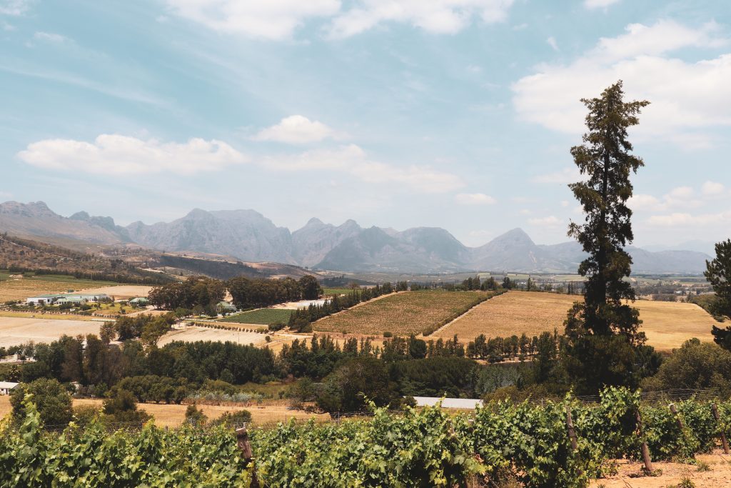 Diemersfontein Wine & Country Estate Wellington