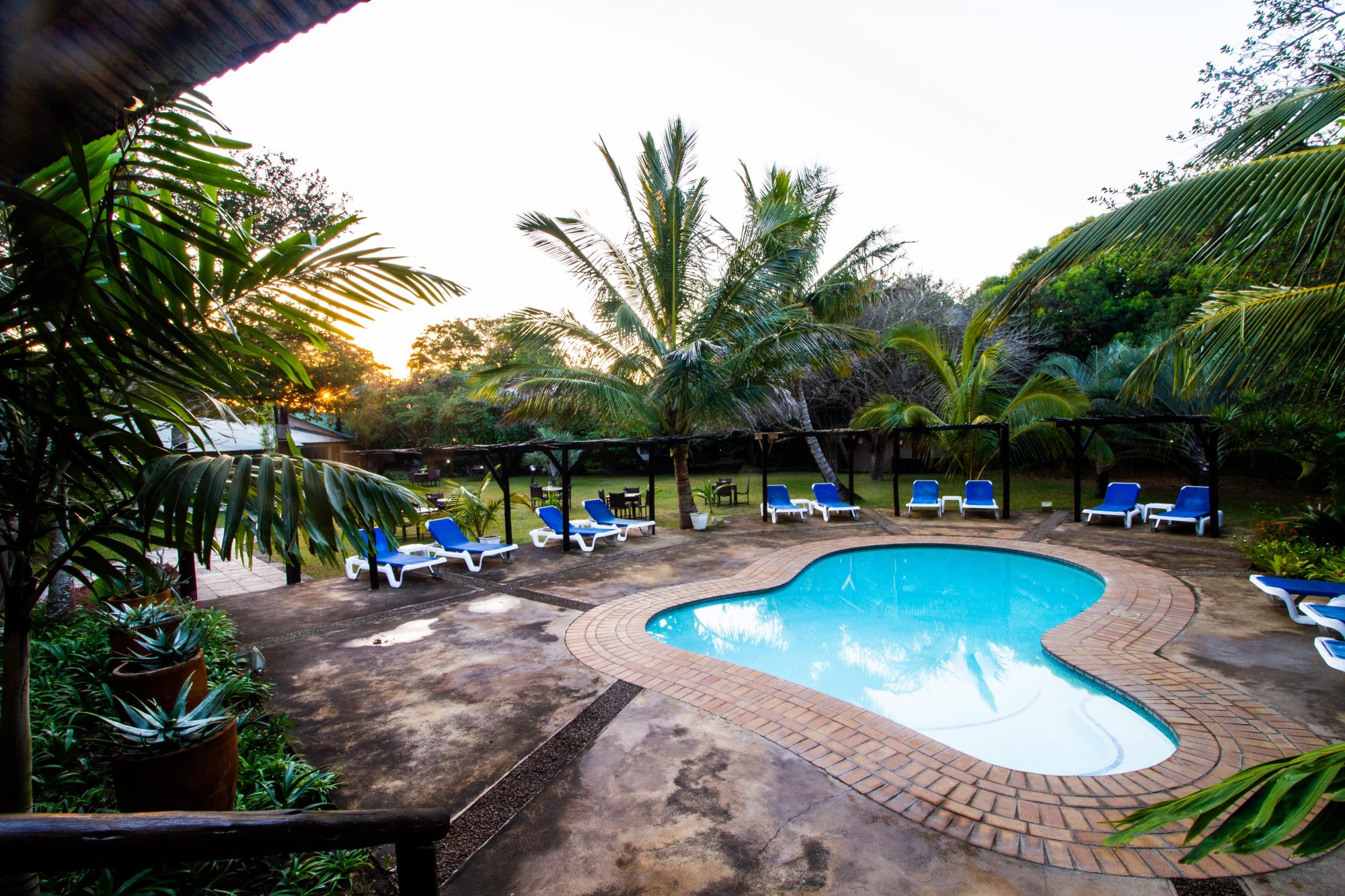 Emdoneni Lodge with Cheetah Project & Spa - KwaZulu-Natal﻿ -Hluhluwe 