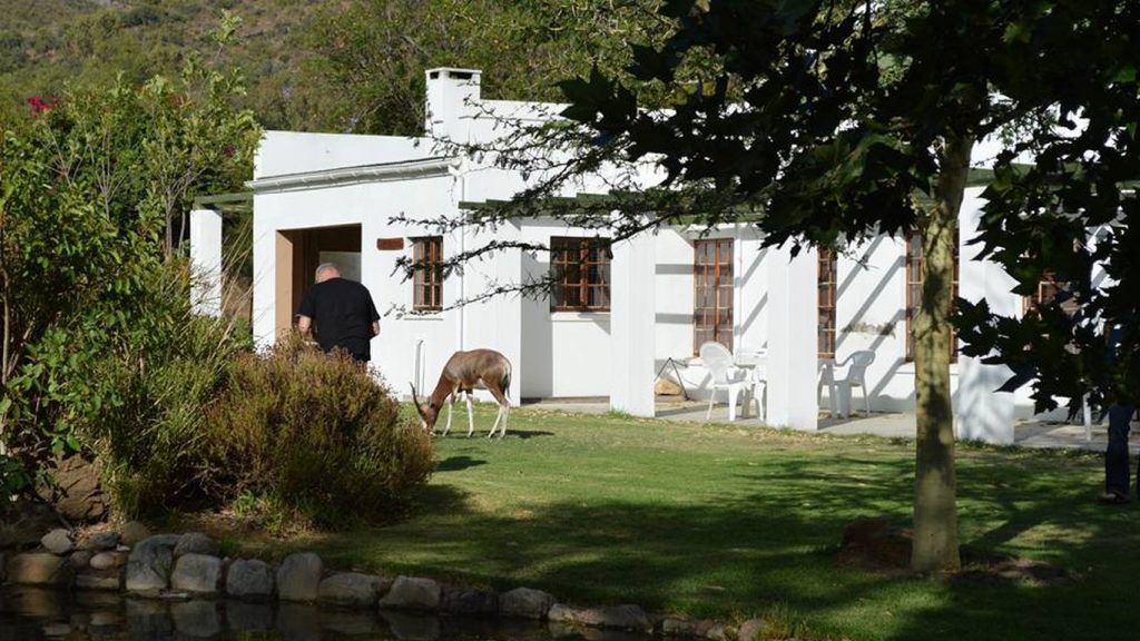 Top Accommodation in the Baviaanskloof
