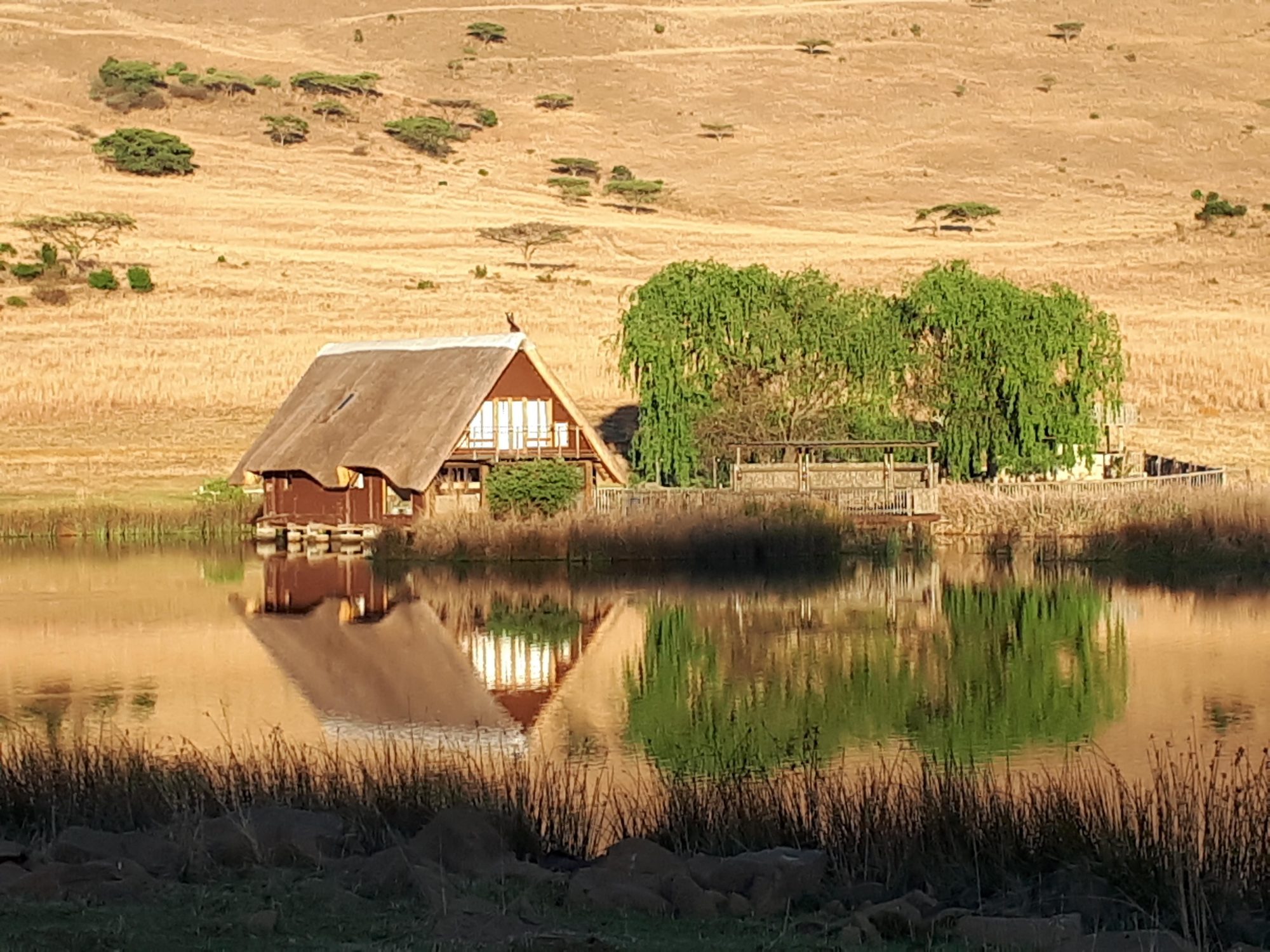 Thatcher’s Rest, Self-Catering Cottage - Ladysmith, KwaZulu-Natal (3)