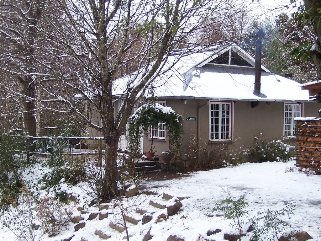 Maple Grove Hogsback Self-Catering Cottages