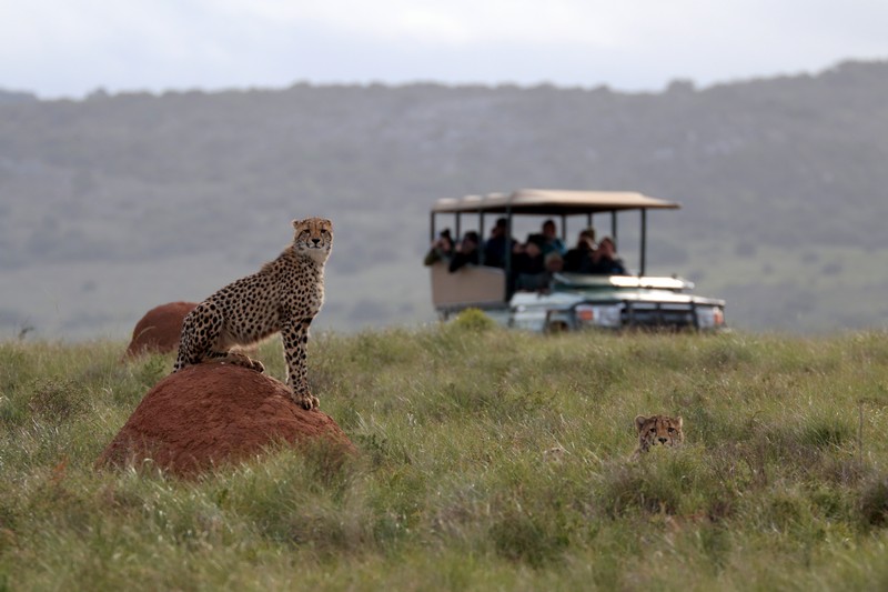Amakhala Private Game Reserve