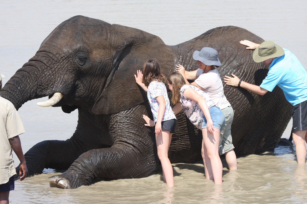 Adventures With Elephants