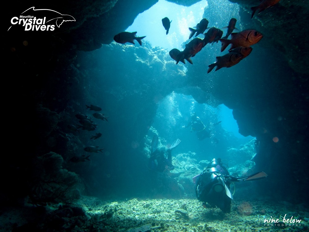 Discover the Beauty of the Underwater World with Crystal Divers