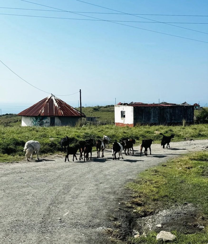Five Cultural Encounters That Make Coffee Bay Unforgettable