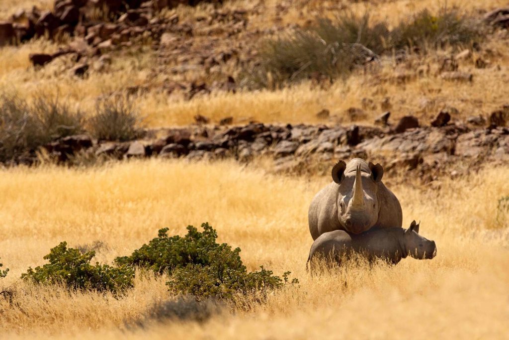 Your Shot to Showcase South Africa’s Natural Beauty – And Win!