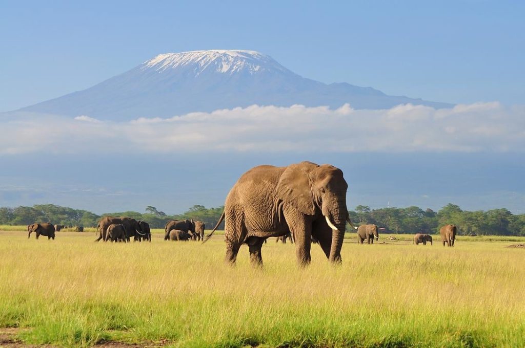 Kenya Tourism Board launches new campaign A Journey Through the Wild Heart of East Africa, produced by BBC Story Works Commercial Productions