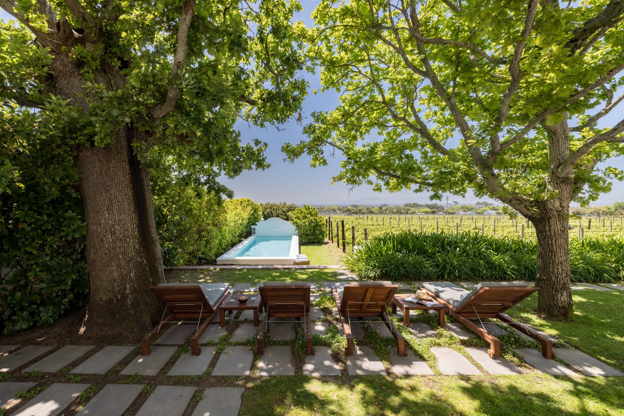 Slow Travel Meets Cape Luxury: Steenberg's Green Season