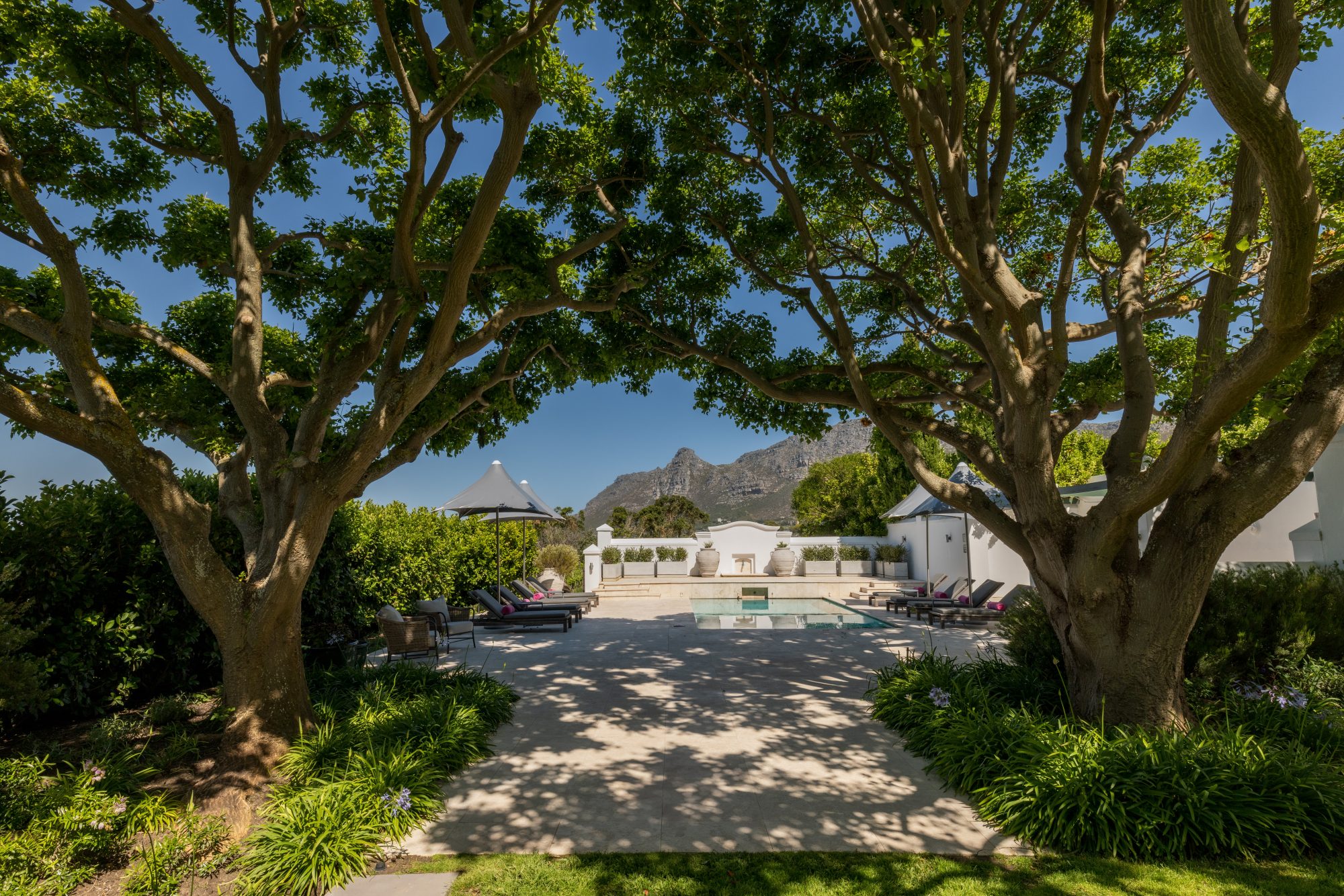 Slow Travel Meets Cape Luxury: Steenberg's Green Season