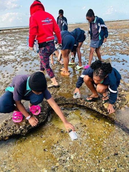 Celebrate the Ocean with These Unmissable MPA Day Events Hosted Across South Africa – and the World!