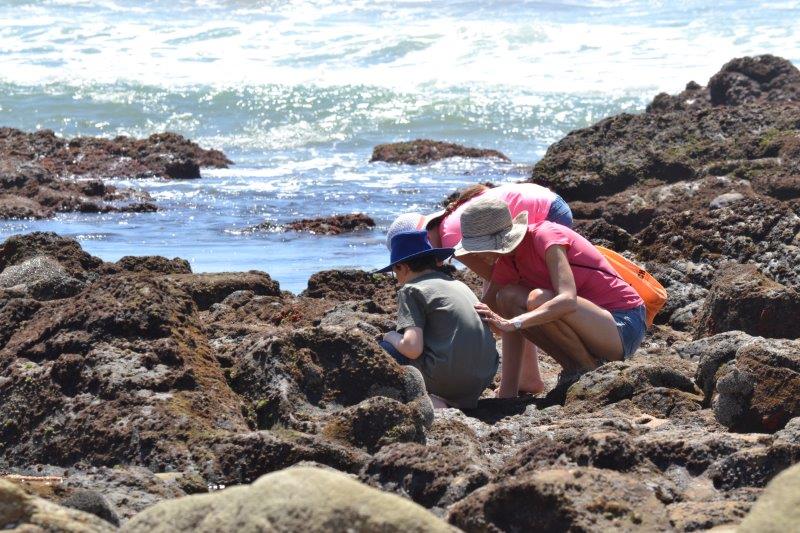 Celebrate the Ocean with These Unmissable MPA Day Events Hosted Across South Africa – and the World!