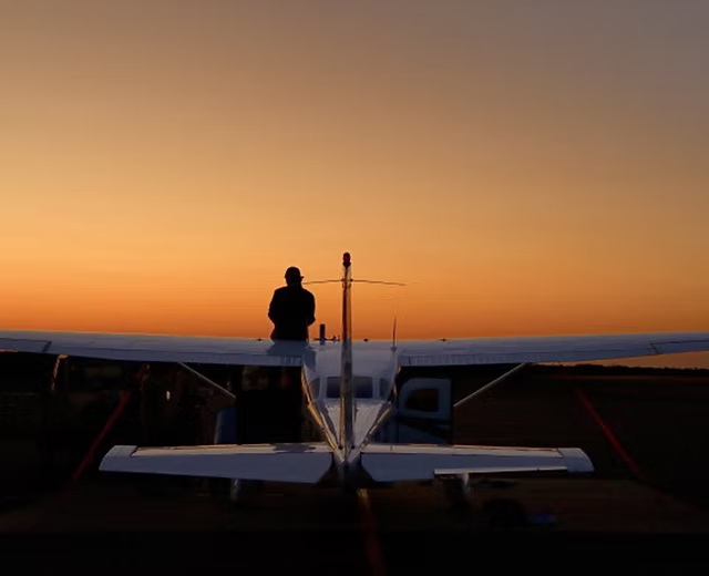 The Bateleurs Launch 'Wings for the Wild' Online Auctions – Karoo and Kruger