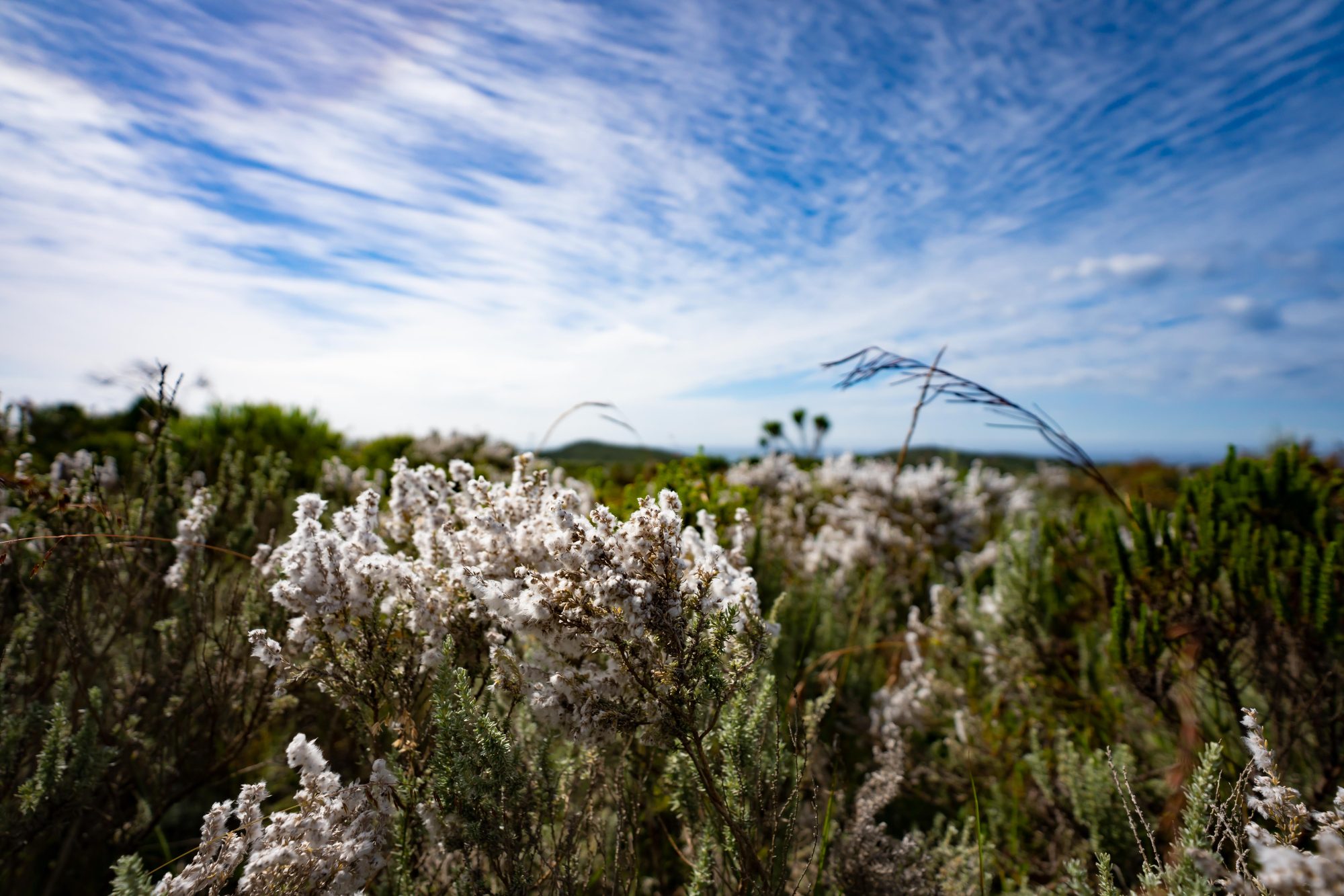 From Emerald Coast to Rugged Peaks, This is The Grand Tour of the Cape's Hidden Depths You Have Been Looking For