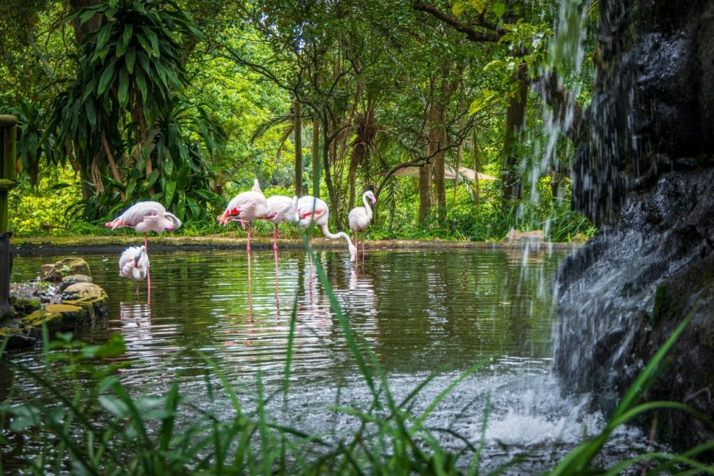 Don’t Miss the Special Celebrations at Crocworld Conservation Centre this Heritage Day!