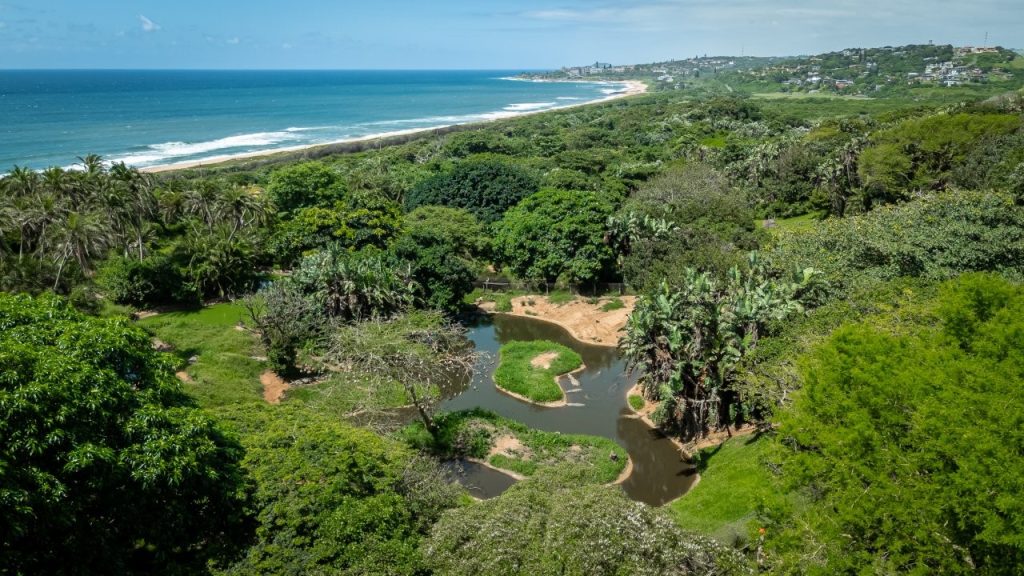 Don’t Miss the Special Celebrations at Crocworld Conservation Centre this Heritage Day!